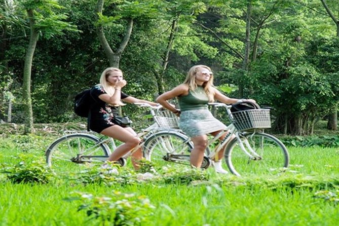Ninh Binh Tour Hoa Lu Tam Coc Full Day: Biking,Boating,Tickets,Lunch, Limousine - Should you book the Hoa Lu and Tam Coc day trip?