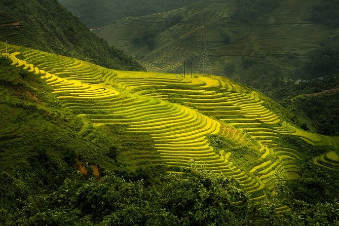 Noi Bai airport transfer by luxury Limousine Bus to Sapa from Hanoi - The people behind the service