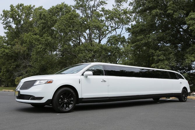 NYC VIP Private Luxury airport arrival ride by Stretch Limousine - Who will enjoy this airport transfer most?