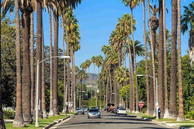 Private 4-Hour Limo Tour of LA by a TV Personality with Drinks - Downtown LA and Griffith Park in one ambitious route