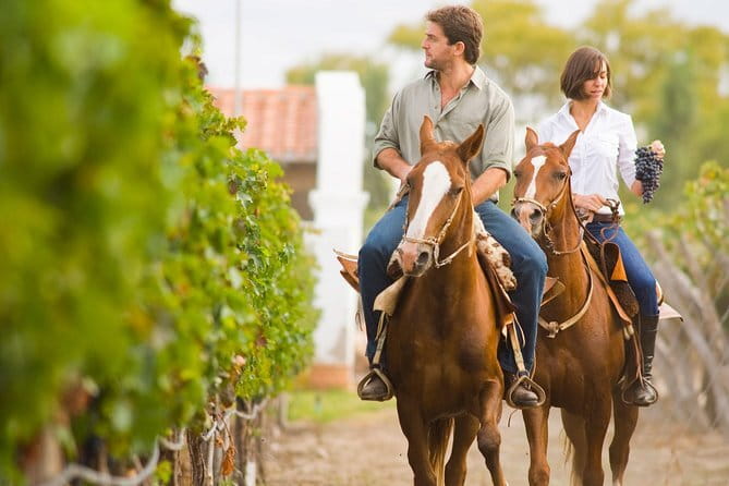 Private driver from Florence: Siena, San Gimignano, Pisa 12 hours - The schedule suits a first Tuscan visit