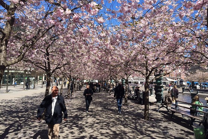 Private full day VIP city tour by limousine car in Stockholm - Östermalmshallen and the city’s polished side