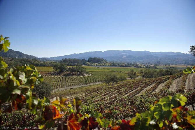 Private Limo Wine Tours in Sonoma and Napa Valley - San Francisco is a different kind of outing