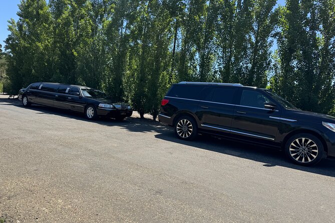 Private Limo Wine Tours in Sonoma and Napa Valley - Who will get the most from this service