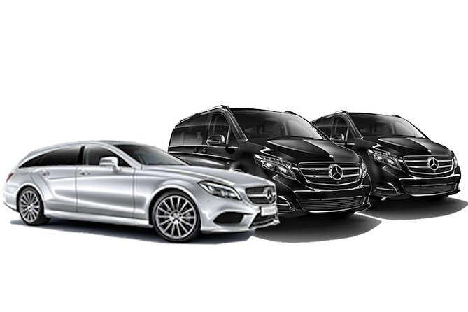 Private Luxury Airport Transfer with Limousine - Luggage, service animals, and group limits