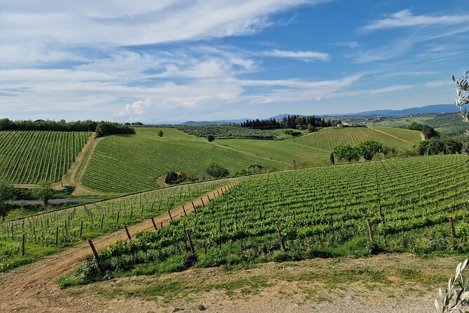 Private Wine Tour best of Chianti Tuscany 6 hours Limo Service - Poggio Amorelli: The Main Wine Stop