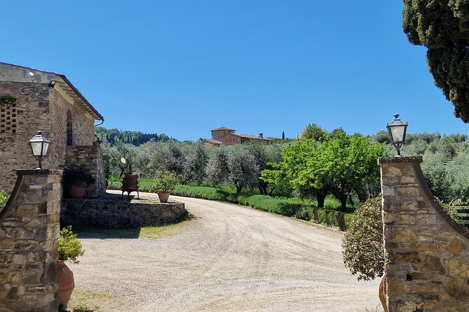 Private Wine Tour best of Chianti Tuscany 6 hours Limo Service - Timing, Pace, and What You Actually Get