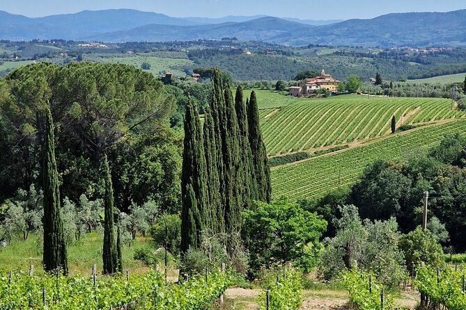 Private Wine Tour best of Chianti Tuscany 6 hours Limo Service - Price, Extra Costs, and Overall Value