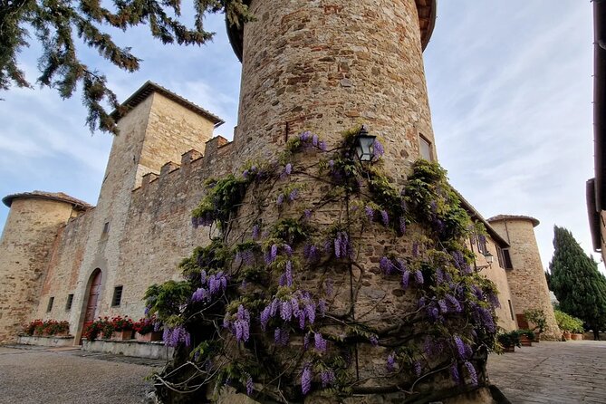 Private Wine Tour best of Chianti Tuscany 6 hours Limo Service - Booking Details to Keep in Mind