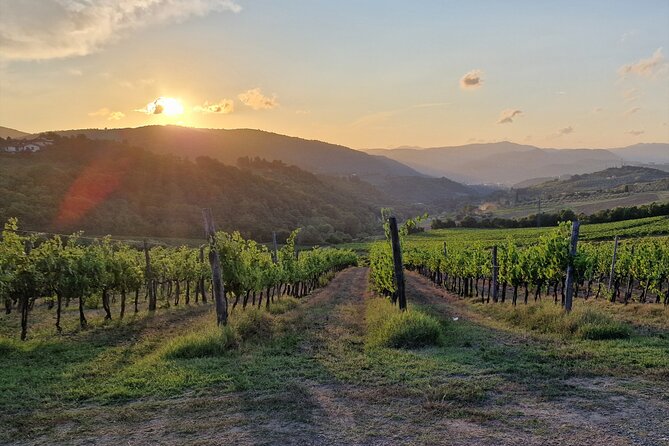 Private Wine Tour best of Chianti Tuscany 6 hours Limo Service - Piazzale Michelangelo and Florence From Above