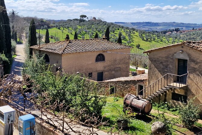 Private Wine Tour Top Wineries, Limousine Service, Florence Tours - What the $1,112.56 price really covers