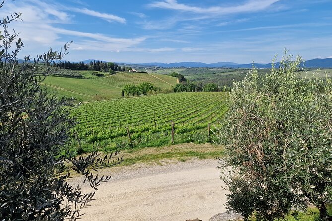 Private Wine Tour Top Wineries, Limousine Service, Florence Tours - The first winery stop near Castellina in Chianti