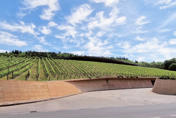 Private Wine Tour Top Wineries, Limousine Service, Florence Tours - Ending above Florence at Piazzale Michelangelo
