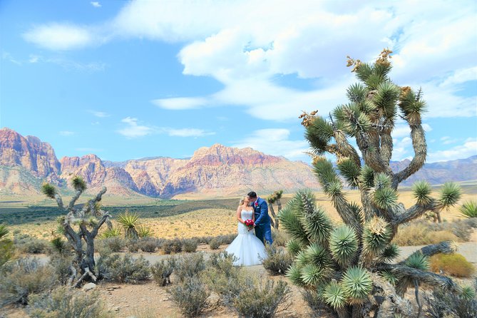 Red Rock Canyon Wedding by Private Limousine - The hotel pickup and ride to the desert