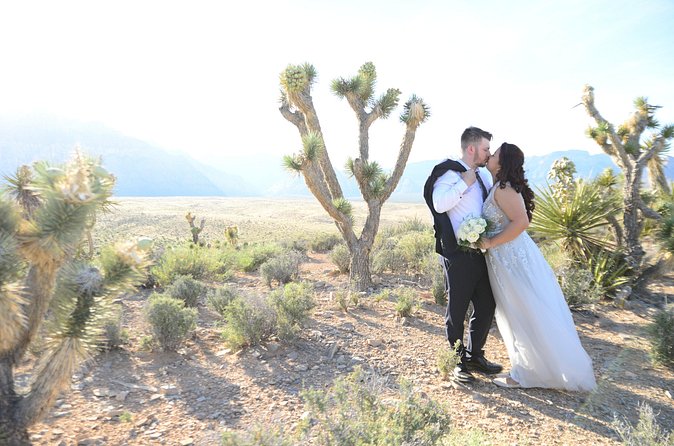 Red Rock Canyon Wedding by Private Limousine - Who should book this Red Rock Canyon wedding?