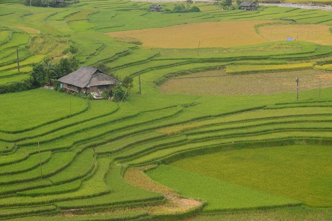 Sa Pa 2-Day Moderate Trek and Homestay Limousine Tour from Hanoi - A homestay night in the hills