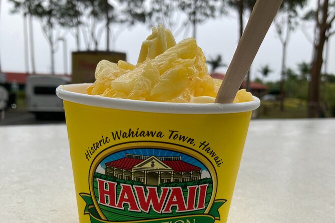 "The Dole Plantation" & "North Shore" Private Limousine VIP Tour! - Why this private Oahu route works