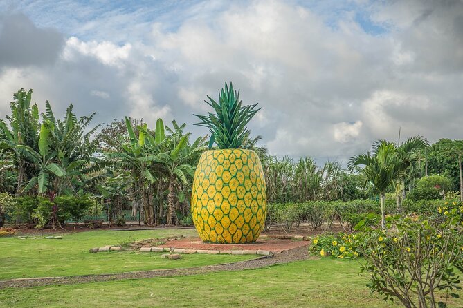 "The Dole Plantation" & "North Shore" Private Limousine VIP Tour! - Three hours at Dole Plantation