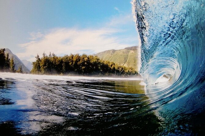 "The Dole Plantation" & "North Shore" Private Limousine VIP Tour! - Is $899 a fair price for up to six?