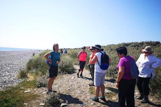 Tour Wicklow Mountains National Park in a limo with private guide - Who should book this Wicklow day?