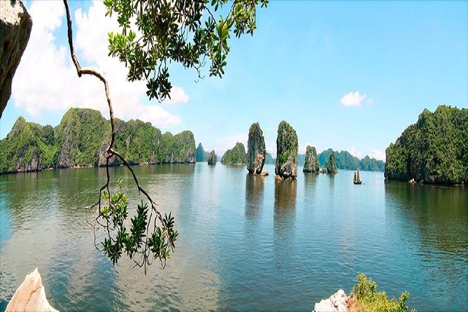 VIP Ha Long Bay 6 hour FUJI cruise with latest luxury cruise ship + limousine + highway + dinner for Japanese only - Sunset tea at 5:00 pm