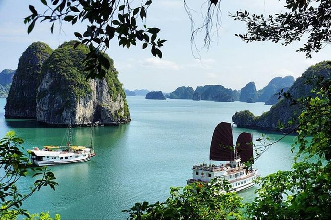 VIP Ha Long Bay 6 hour FUJI cruise with latest luxury cruise ship + limousine + highway + dinner for Japanese only - The return drive and included pho dinner